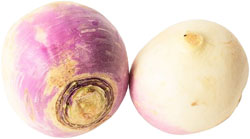Artichokes - Italian (Green Globe), French (Pointed) and Thornless varieties