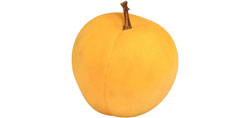 Apricots - Castlebrit, Patterson, Katy, 