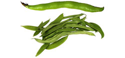 Beans - Green, Yellow, Snap and Lima