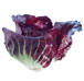 We are your speciailty produce distributor