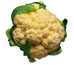 cauliflower