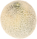Muskmelon