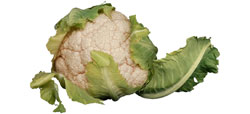 Cauliflower