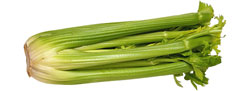 Pascal and Golden Celery
