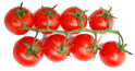 Hothouse Tomatoes